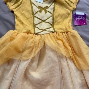 Disney Princess Dress (4T)